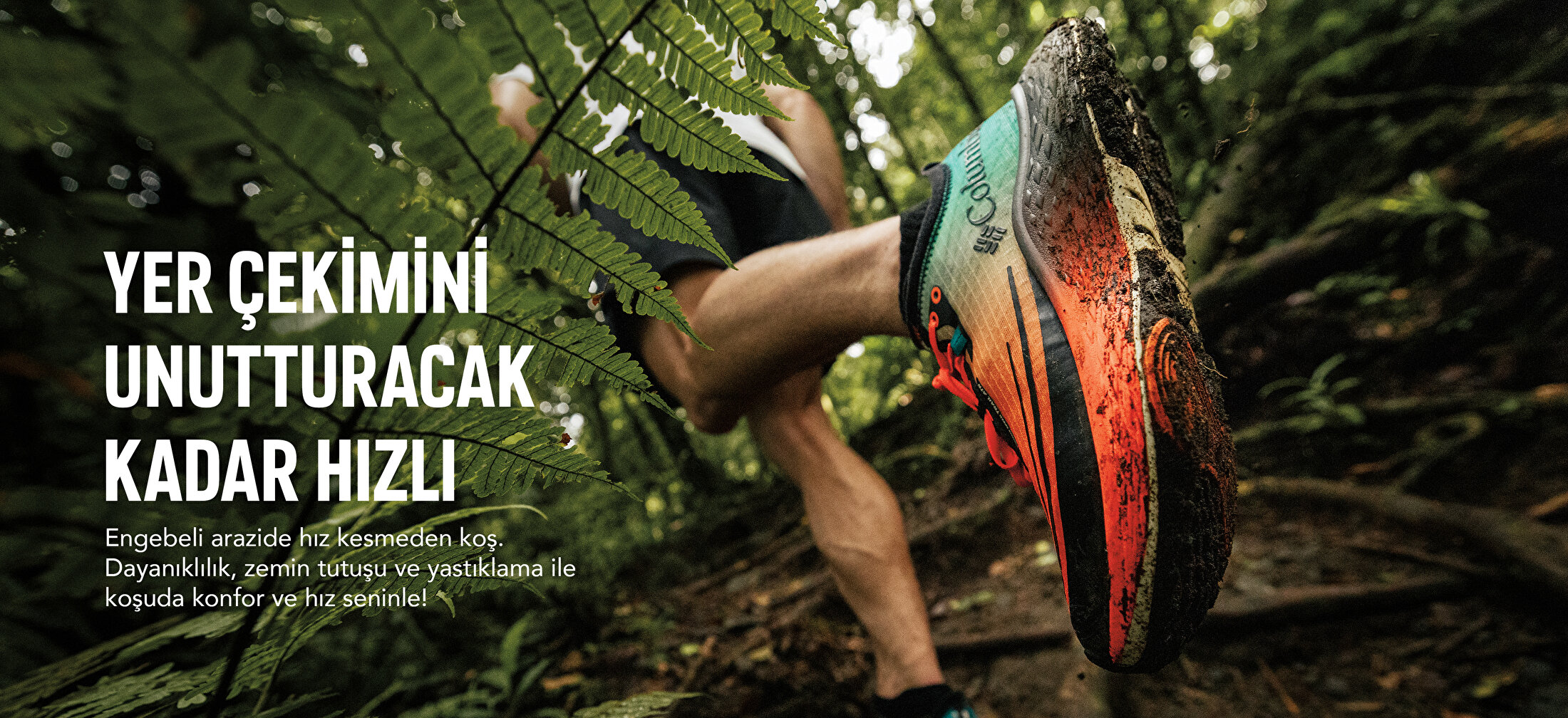Trail Run Web Slider